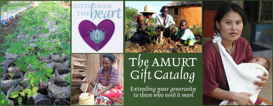 AMURT 2012-2013 Gift Catalog